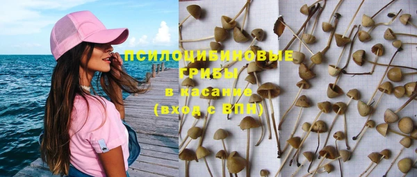 a pvp Арсеньев