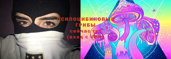 первитин Новодвинск