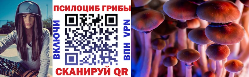 Псилоцибиновые грибы MAGIC MUSHROOMS  Купить закладки  Бахчисарай 