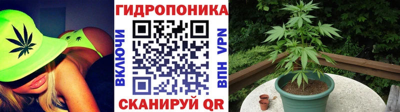 Купить  Бахчисарай  МАРИХУАНА план 
